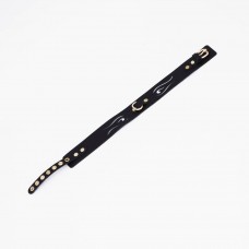 Черный кожаный ошейник с золотистой фурнитурой Черный кожаный ошейник с золотистой фурнитурой