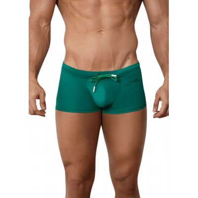 Зеленые мужские плавки-боксеры Malibu Swimsuit Trunks