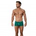Зеленые мужские плавки-боксеры Malibu Swimsuit Trunks Зеленые мужские плавки-боксеры Malibu Swimsuit Trunks